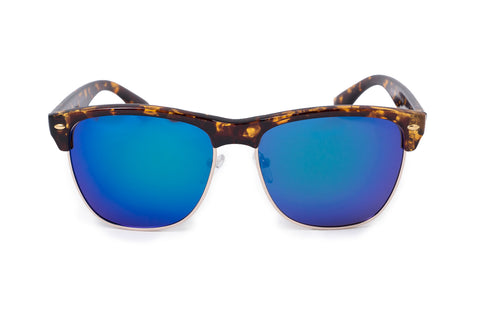 Image of Zebra Turquoise