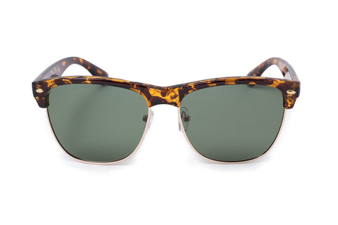 Image of Zebra Olive